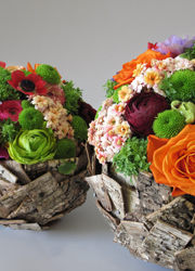 RUSTIC 1